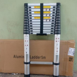 telescopic ladder