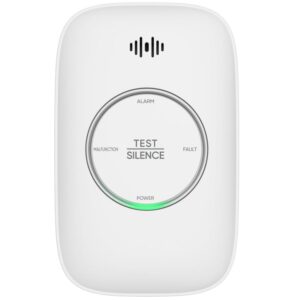 Standalone LPG Detector